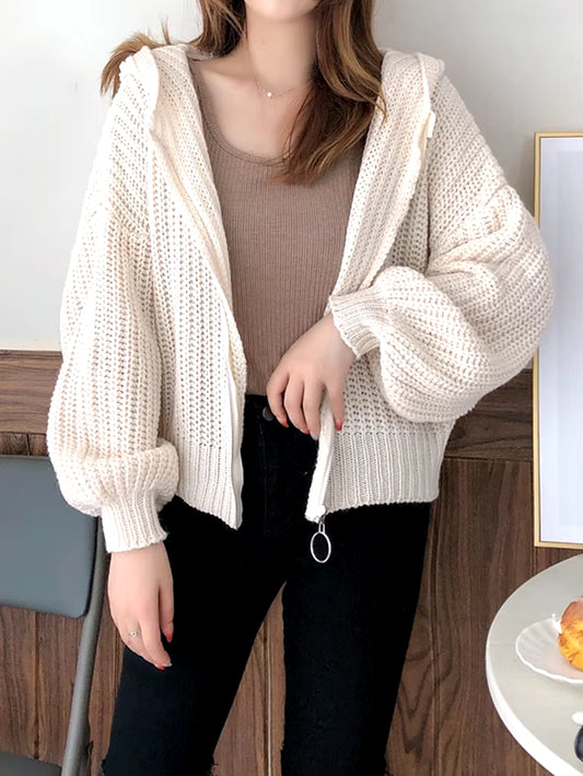 Hooded Zipper Knitted Women Cardigans Sweater Loose Long Sleeve Cardigan Sweaters for Woman Autumn Winter Casual Solid Knitwear